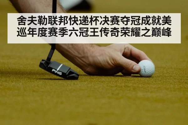 舍夫勒联邦快递杯决赛夺冠成就美巡年度赛季六冠王传奇荣耀之巅峰